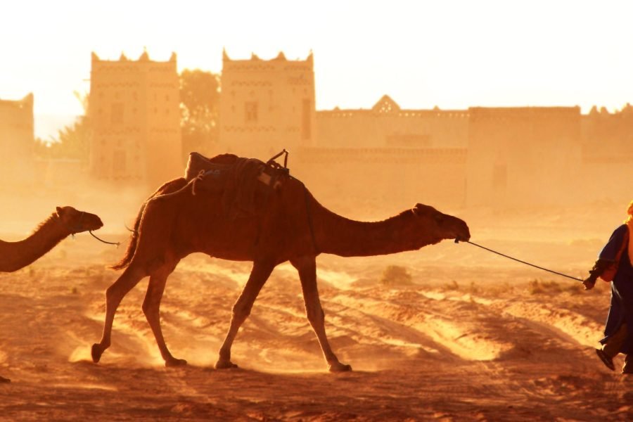 3 Days Desert Trips : Agadir to Merzouga to Marrakesh